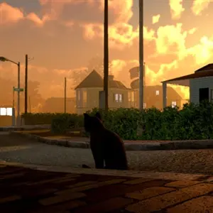 Peace Island - Straat