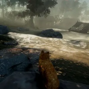 Peace Island - Landschap