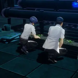 Persona 6 - Tuinieren op het dak
