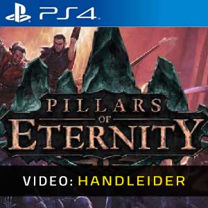 Pillars of Eternity PS4 Video-opname