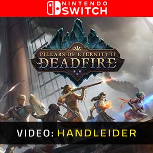 Pillars of Eternity 2 Deadfire Nintendo Switch Video-opname