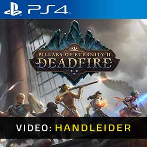Pillars of Eternity 2 Deadfire PS4 Video-opname