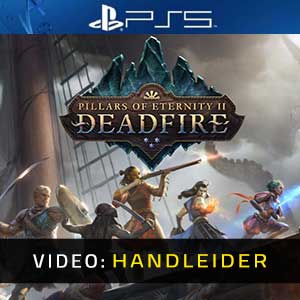 Pillars of Eternity 2 Deadfire PS5 Video-opname