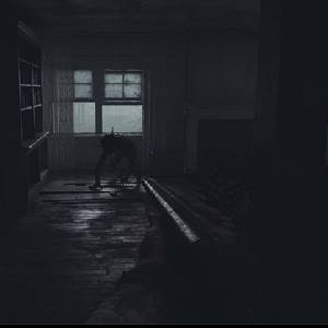 Pine Harbor - Geweer