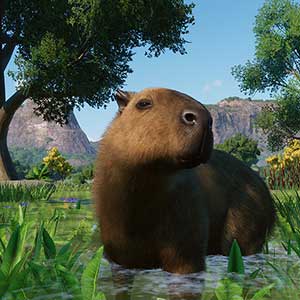 Planet Zoo Wetlands Animal Pack Capybara