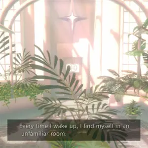 PLATONICA SPACE - Planten