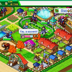 Pocket Stables - Gebruikersinterface