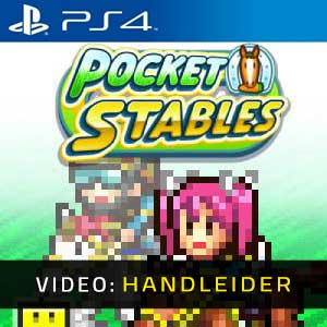 Pocket Stables Playstation 4