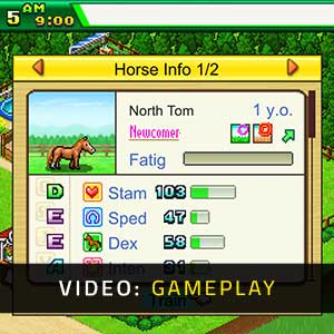 Pocket Stables - Spelvideo