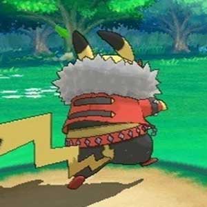 Pokemon Omega Ruby Nintendo 3DS Zigzagoon