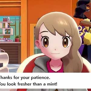 Pokemon Sword and Shield Expansion Pass - Schoonheidssalon