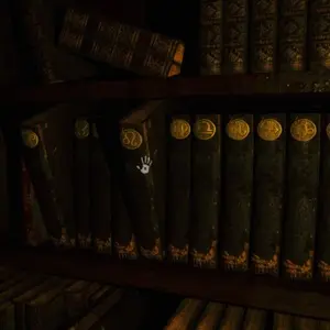 Portrait of a Torn – Boeken