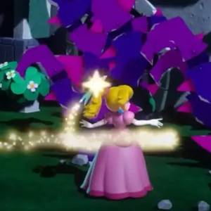 Princess Peach Showtime! - Baasgevecht