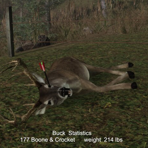 Pro Deer Hunting 2 - Doden
