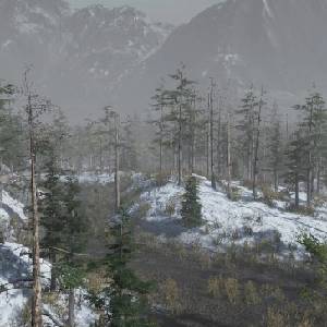 Pro Deer Hunting: Out West - Wildernis