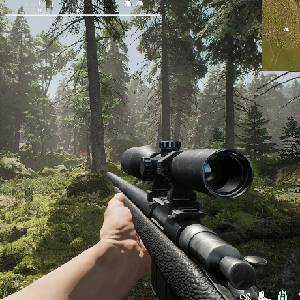 Project Hunt - RM7 .243