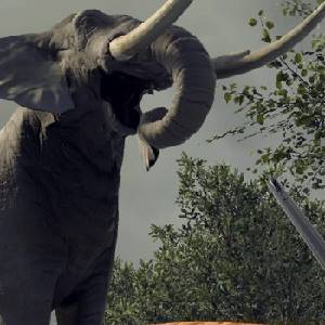 Project VR Wild Hunt - Olifant