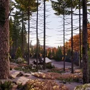 Prologue: Go Wayback! - Hut in het Bos