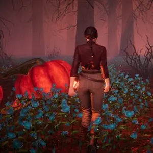 Pumpkin Woods - Grote Pompoenen