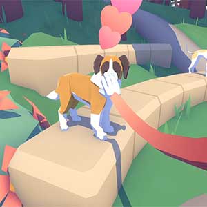 Pupperazzi - Rooftop