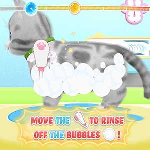 Pups and Purrs Animal Hospital Kitten