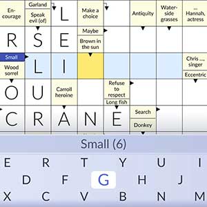 Pure Crosswords - Antwoordvelden