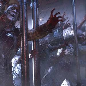 Raccoon City Edition - Hek