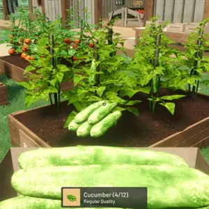 Ranch Farm and Store Simulator - Komkommer