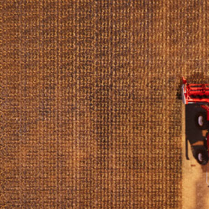 agricultural simulation