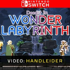 Record of Lodoss War-Deedlit in Wonder Labyrinth Switch