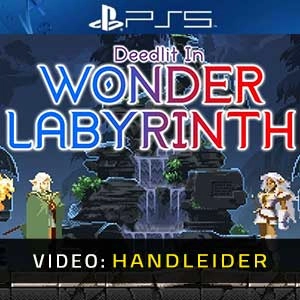 Record of Lodoss War-Deedlit in Wonder Labyrinth Playstation 5