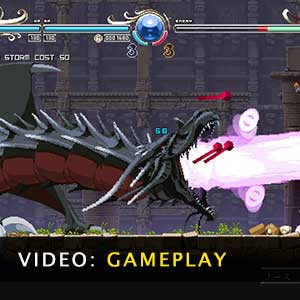 Record of Lodoss War Deedlit in Wonder Labyrinth Gameplay Video