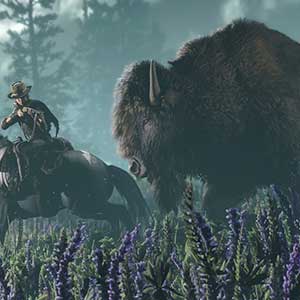 Red Dead Online Bison