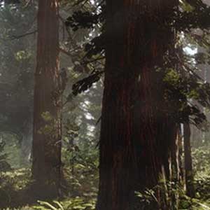 Running across a scenic field