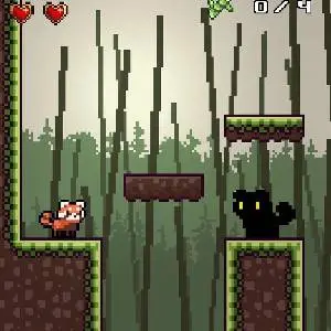 Red Panda is Hungry - Schaduwen