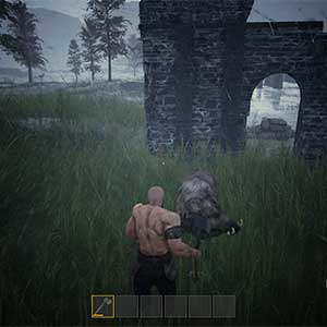 Rogue Frontiers Boar