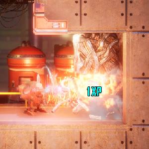 Rusty Rabbit – Boor