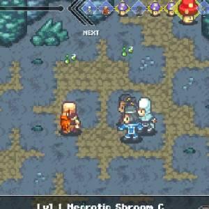 Sanctuary Saga - Necrotic Shroom