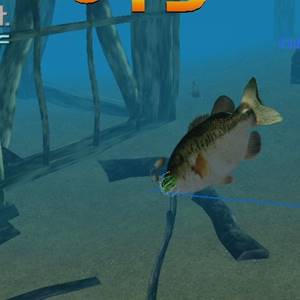 SEGA Bass Fishing - Vis Haak