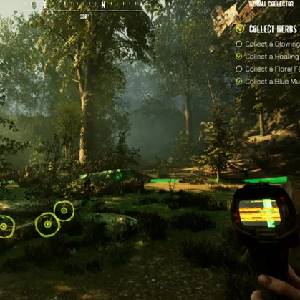 Serum - Kruiden Verzamelen