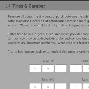 Setup Developer Tool 2021 - Banden en camber