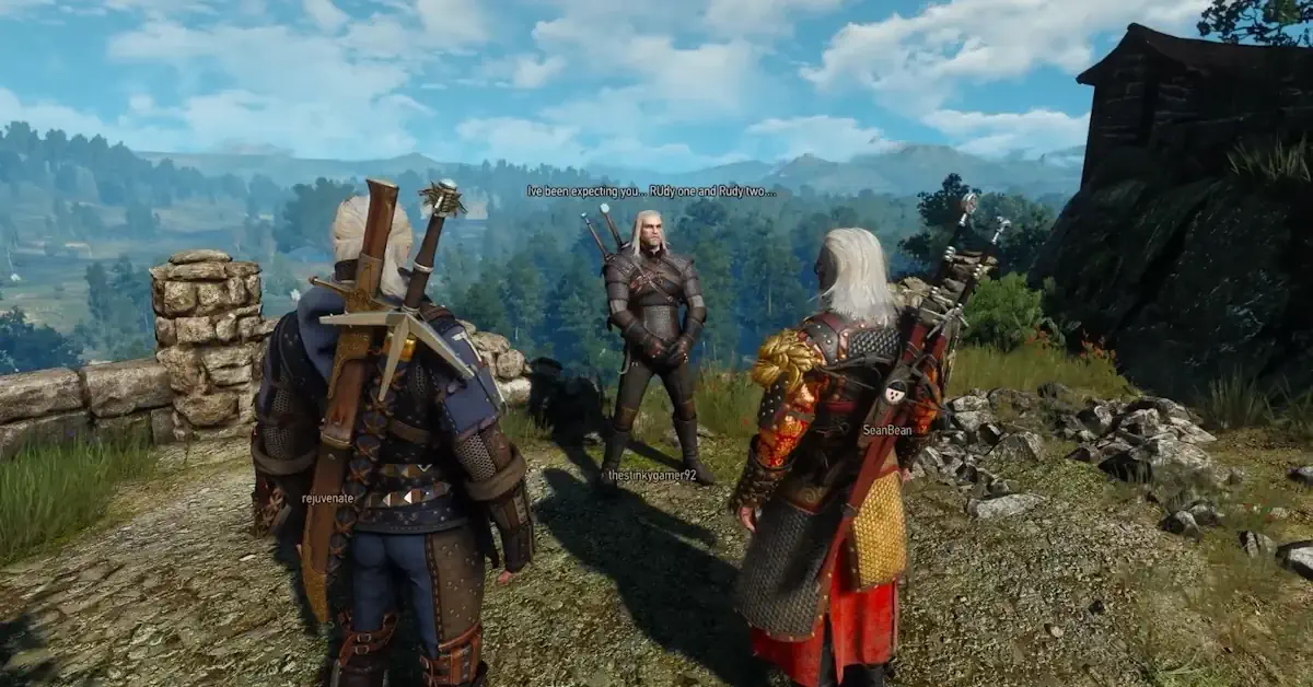 De gelekte multiplayergame van The Witcher bevat aanpasbare personages en een coöp-ervaring