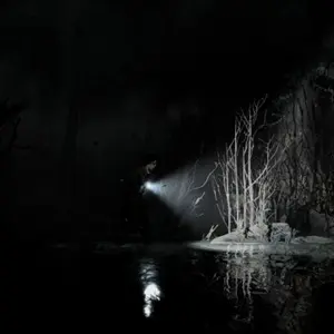 Silver Pines - Meer