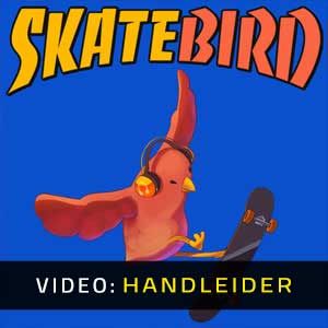 SkateBIRD Video-opname