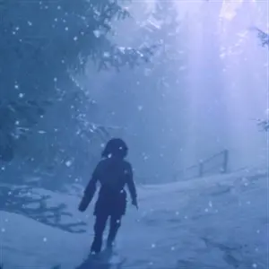 Skábma Snowfall - Winter