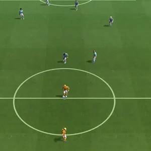 Sociable Soccer - Veld