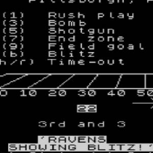 Speed NFL - Acrisure Stadion