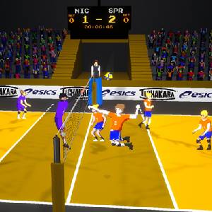 Spikair Volleyball - Spring
