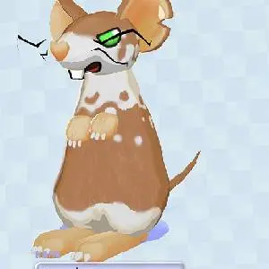 Squeakross: Home Squeak Home - Knaagdier-editor