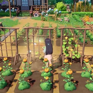 Starsand Island - Planten